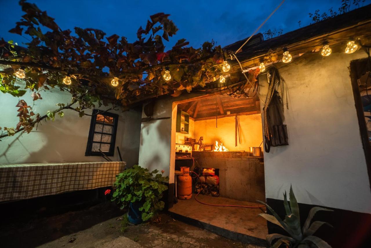 Domacinstvo Cikic Zasavica Guest House Exterior photo